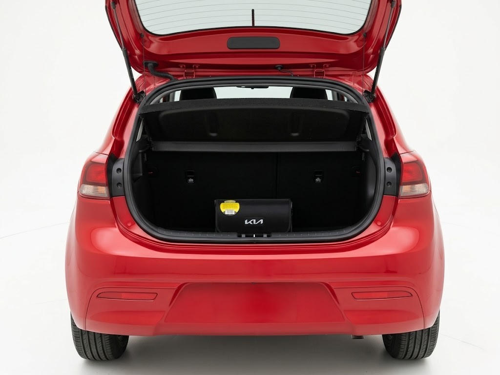 Kia Rio Vibrant 2024